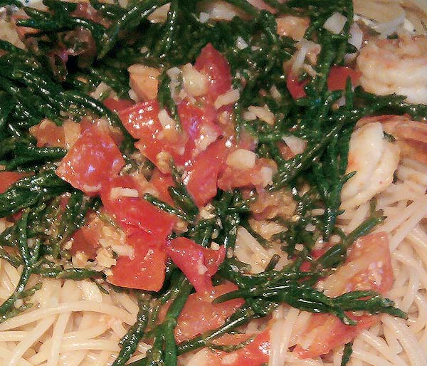 Salicorne Pasta